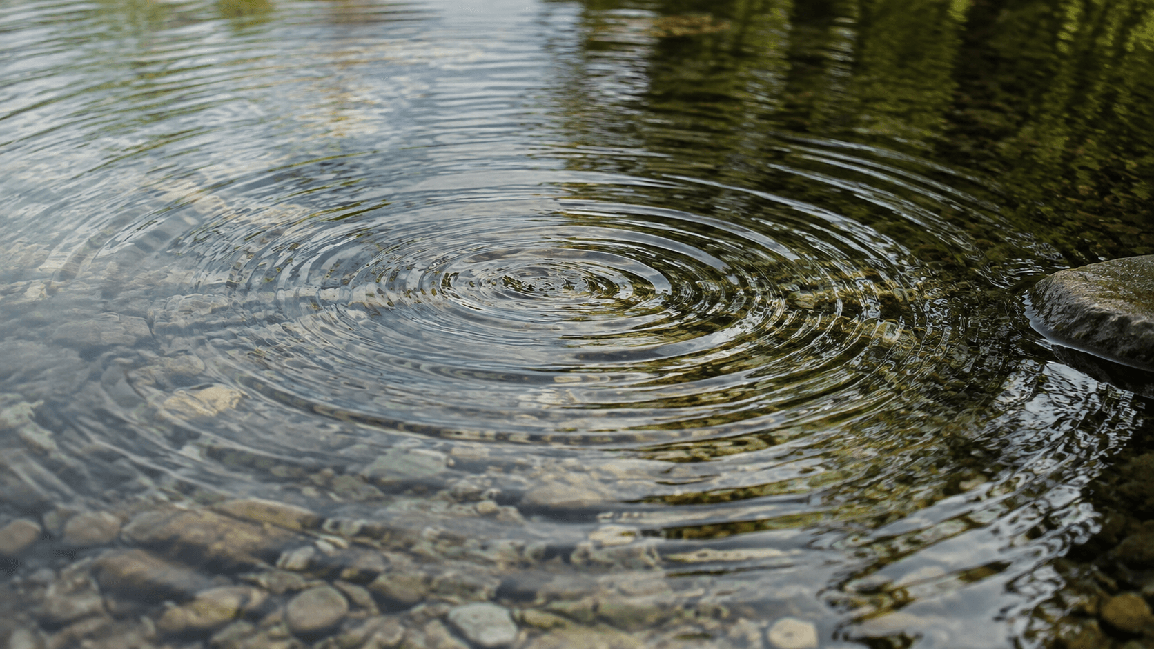Alpha Brain Waves: Attention, Memory and Neurofeedback