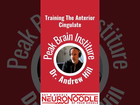 Training The Anterior Cingulate Dr. Andrew Hill Peak Brain Institute