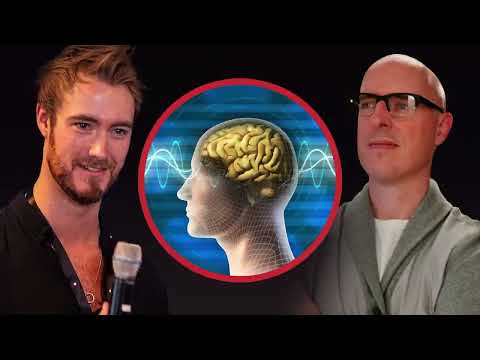 How to Get Your Brain Back to Optimal Cognition with Dr. Andrew Hill #Clip