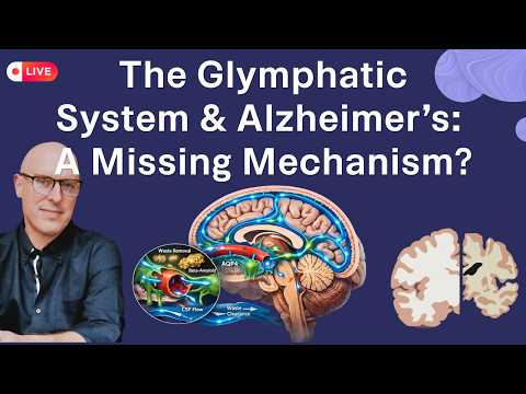The Glymphatic System and Alzheimer's: A Missing Mechanism?