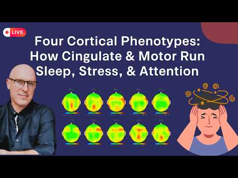 Four Cortical Phenotypes: How Cingulate & Motor Areas Run Sleep, Stress, & Attention