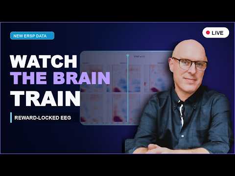What Happens in Your Brain When Neurofeedback Works? | Neurofeedback & Chill