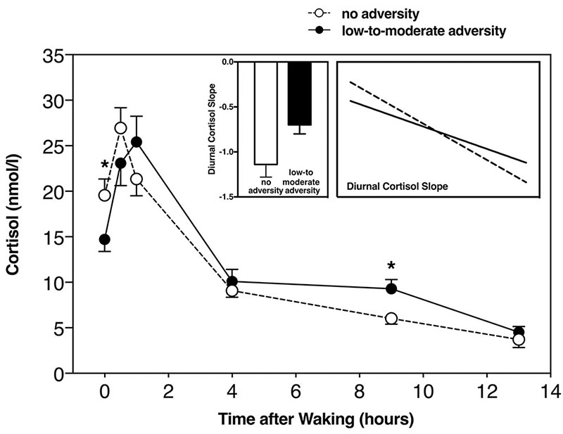 developmental stress