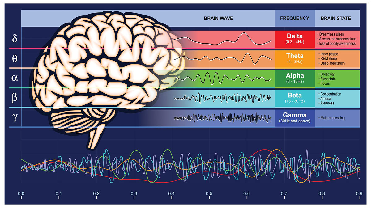 neuroscience of flow