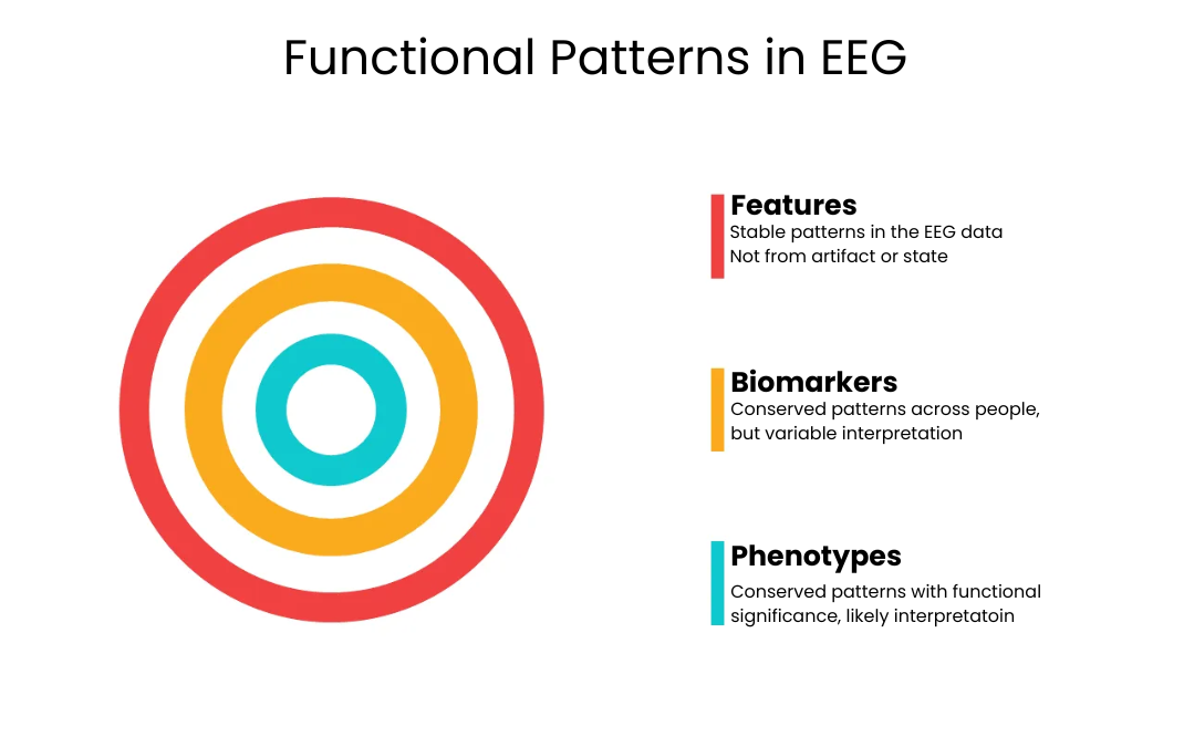 functional patterns in eeg